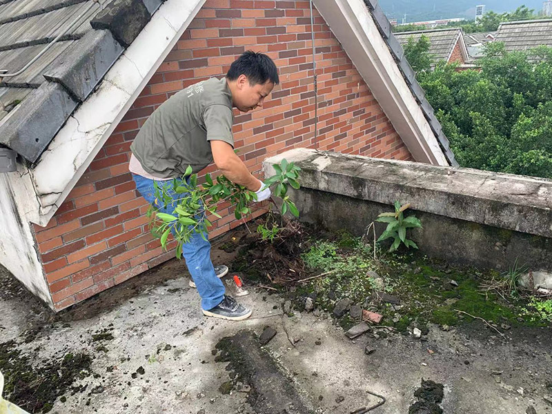 屋頂屋面基層清理