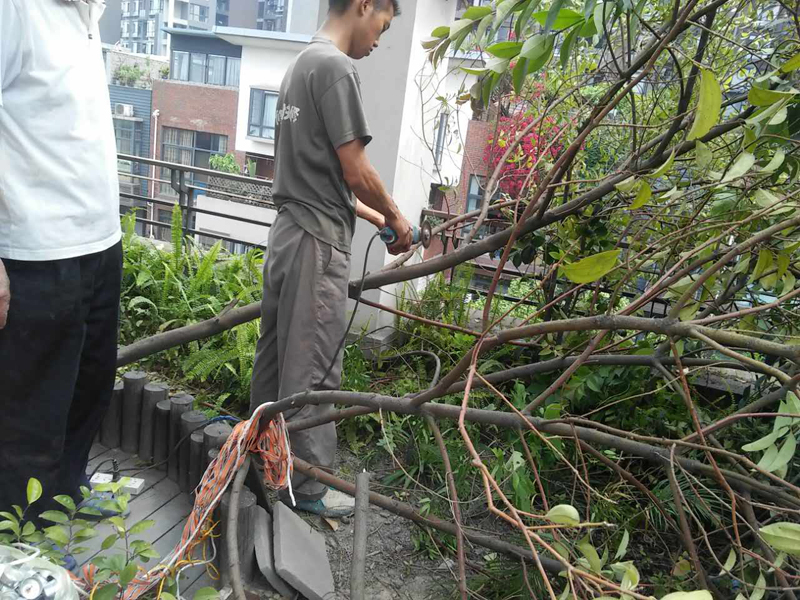 露臺花園裝修怎么做，露臺花園裝修施工